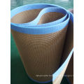 100% veik PTFE first grade ptfe mesh conveyor belt